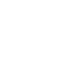 Logo-Wordpress-300px